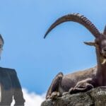 Πώς να κατακτήσεις μια γυναίκα Αιγόκερω: 6 χρυσοί κανόνες!