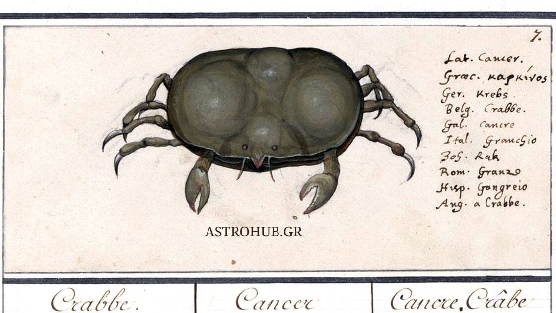 ASTROHUB ADA 26
