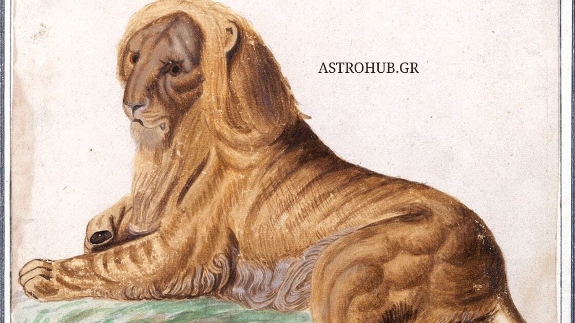 ASTROHUB ADA 27