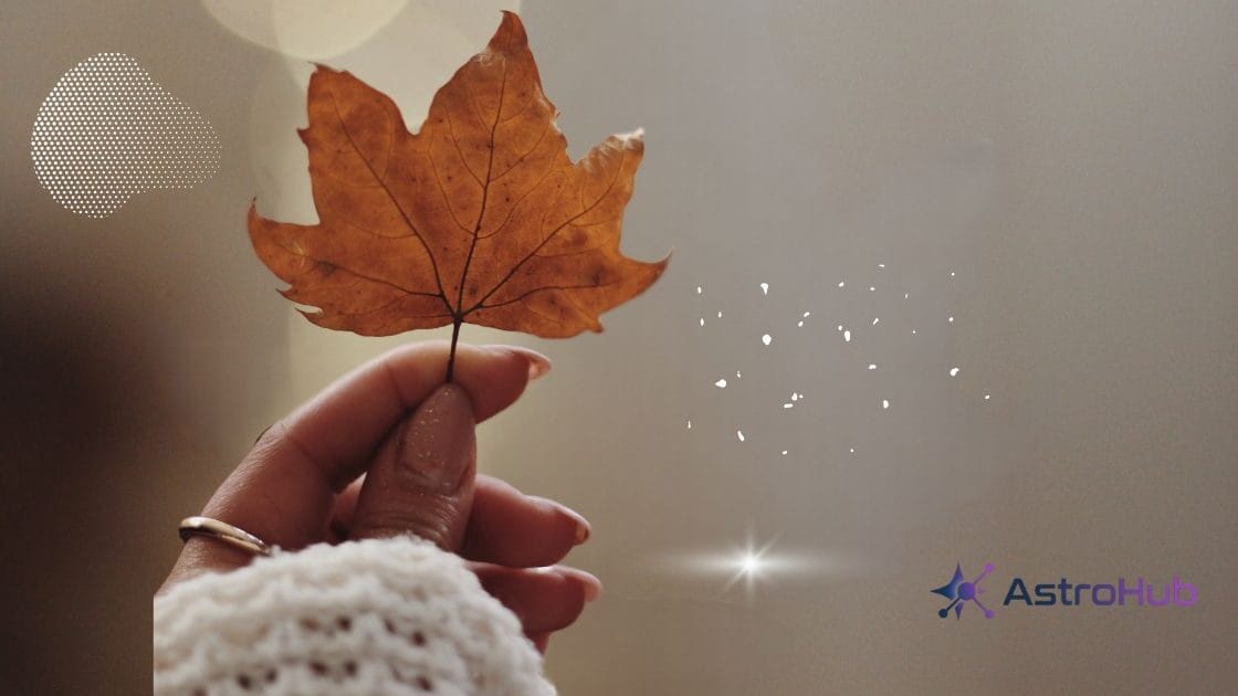 Orange Simple Hello Autumn Your Story 1200 x 630 px