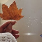 Φθινόπωρο & ζώδια: Τα 5 που ανθίζουν όταν πέφτει η θερμοκρασία!